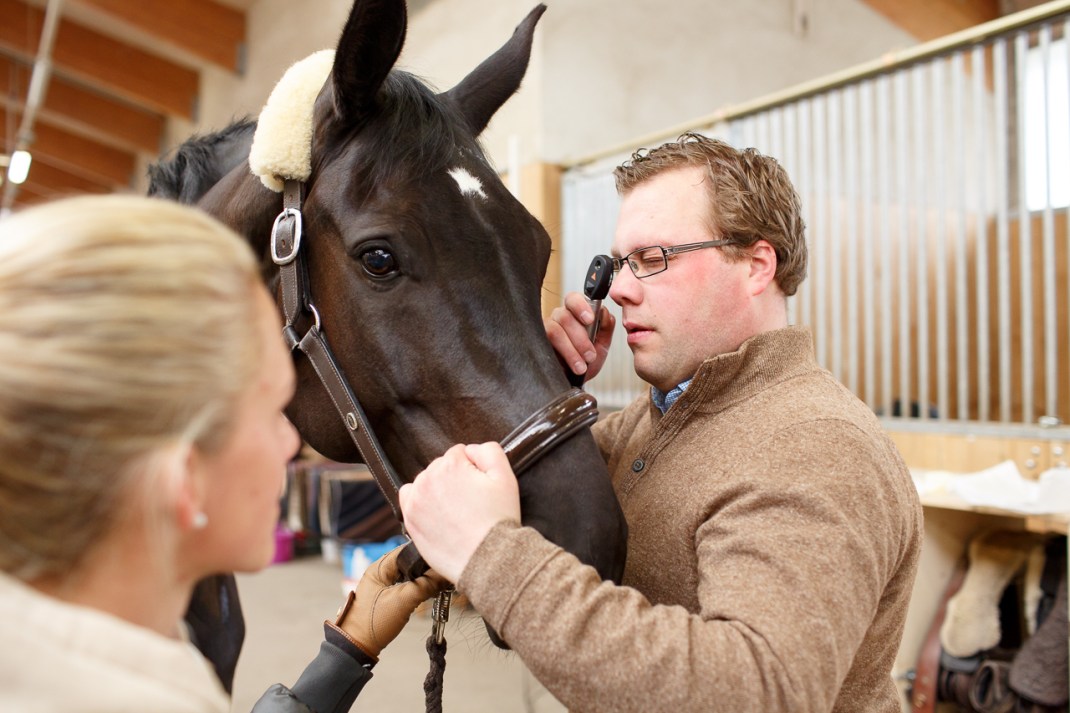 RP_2016-04-23_9908_Medium